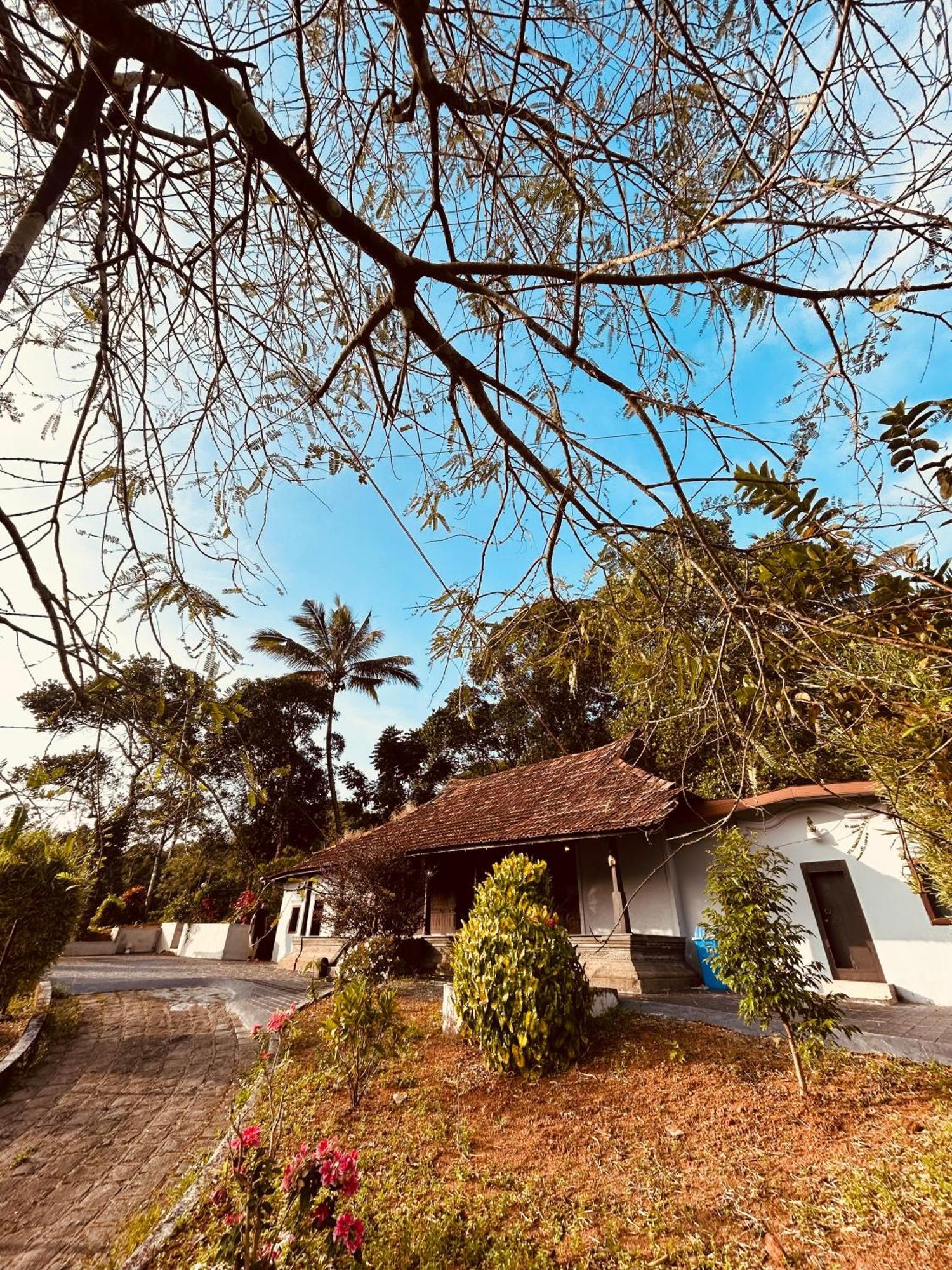 Silent House Villa Kudayattur Exterior foto